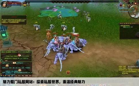 魅力蜀门私服网站：探索私服世界，重温经典魅力