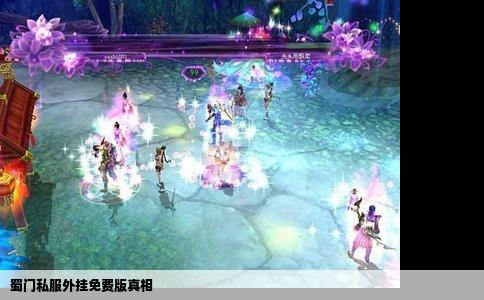 蜀门私服外挂免费版真相